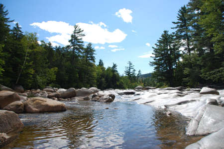Very beautiful scenery, charming nature, summer beauty