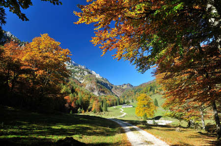 Very beautiful scenery, charming nature, summer beautyの写真素材