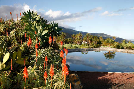 Very beautiful scenery, charming nature, summer beautyの写真素材