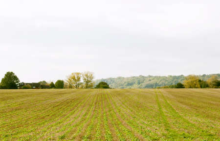 A farmers fieldの写真素材