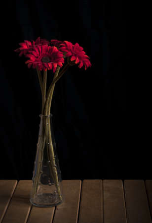 Red flowers in a vaseの写真素材