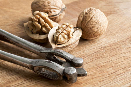 Seasonal nutsの写真素材