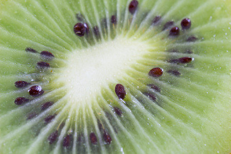 Sliced ââkiwi isolate in white backgroundの写真素材