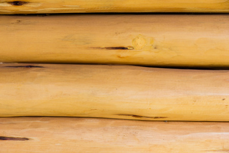 Bamboo texture background