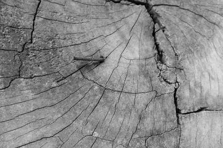 Old wood texture, vintage natural backgroundの写真素材