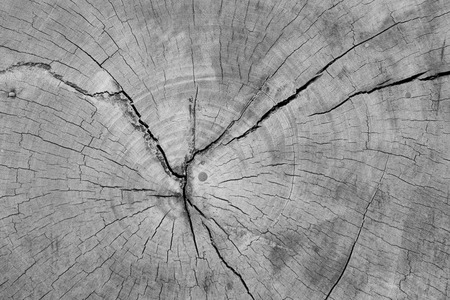 Old wood texture, vintage natural backgroundの写真素材