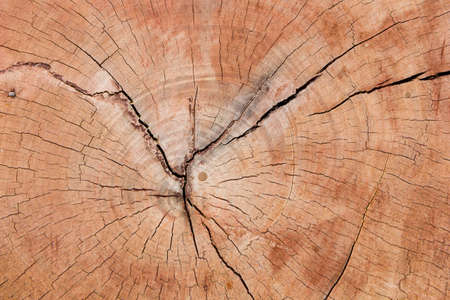 Old wood texture, vintage natural backgroundの写真素材