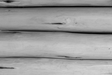 Bamboo texture backgroundの写真素材