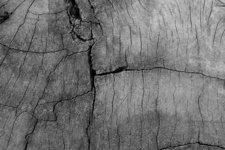 Old wood texture, vintage natural backgroundの写真素材
