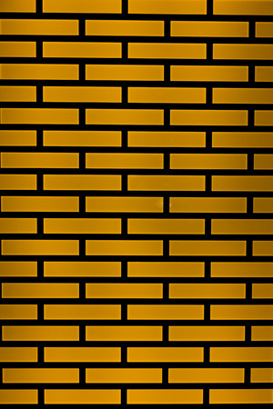 Background grid with lights behind in the morningの写真素材