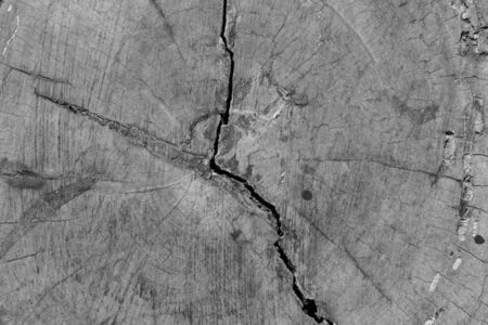 Old wood texture, vintage natural backgroundの写真素材