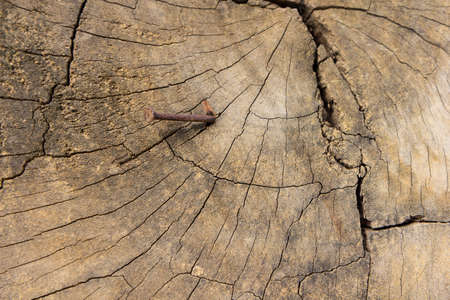 Old wood texture, vintage natural backgroundの写真素材