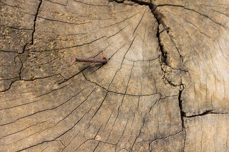 Old wood texture, vintage natural backgroundの写真素材
