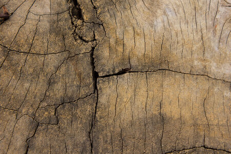 Old wood texture, vintage natural backgroundの写真素材