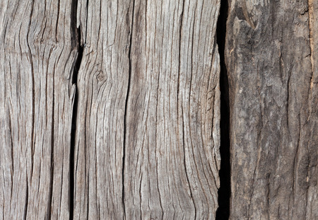 old, grunge wood panels used as backgroundの写真素材