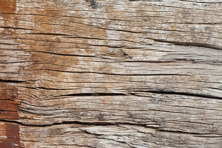 old, grunge wood panels used as backgroundの写真素材