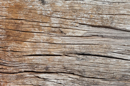 old, grunge wood panels used as backgroundの写真素材