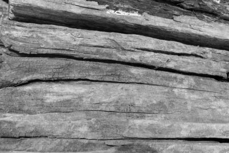 old, grunge wood panels used as backgroundの写真素材