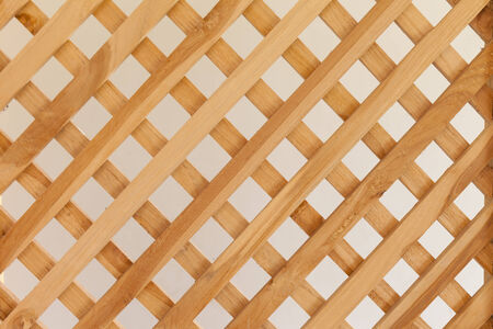 bamboo texture for background natural lightの写真素材
