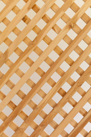 bamboo texture for background natural lightの写真素材
