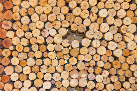 Wood cut half circles for backgroundの写真素材