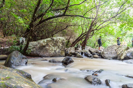 Close up green forest waterfall ,Thailandのeditorial素材