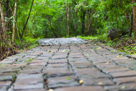 Stone pathway passing thru the Waterfall , Thailandの写真素材