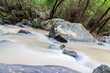 Close up green forest waterfall ,Thailandの写真素材