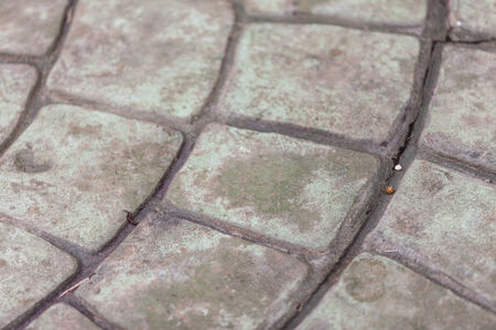 Texture gray concrete floor for backgroundの写真素材