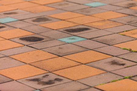 Red Floor Tile pavement for  backgroundの写真素材