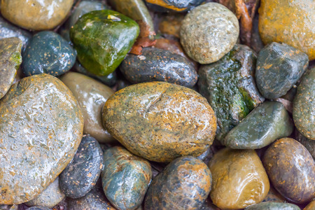 Wet river stone texture,Thailandの写真素材