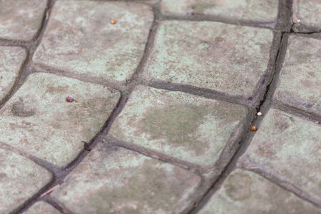 Texture gray concrete floor for backgroundの写真素材