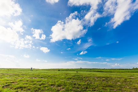 Green field under blue sky. nature backgroundの写真素材