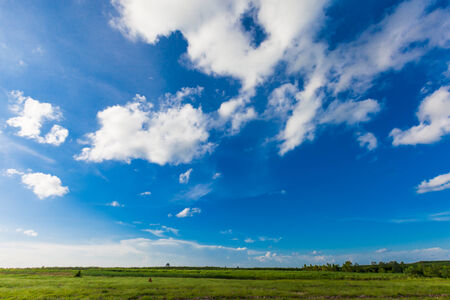 Green field under blue sky. nature backgroundの写真素材