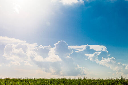 Green field under blue sky. nature backgroundの写真素材