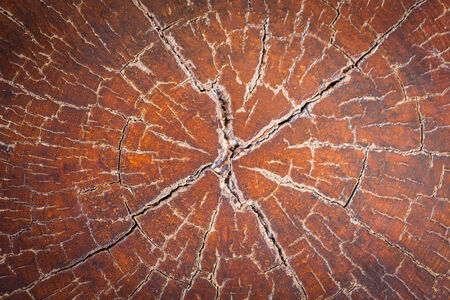 Dark wood texture. Abstract background