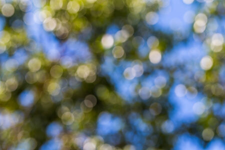 bokeh Elegant abstract background with bokeh defocused lightsの写真素材