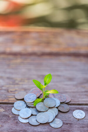 Money growth Deposit your budget for investment in the futureの写真素材