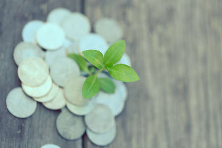 Vintage white Money growth Deposit your budget for investment in the futureの写真素材