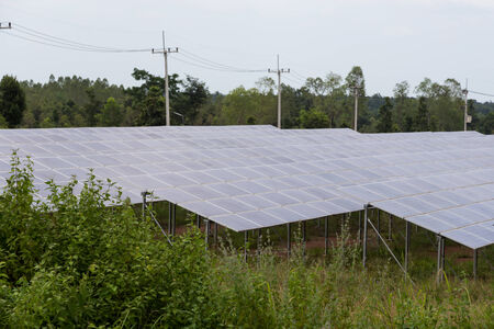 Solar energy panels ,Solar farmの写真素材