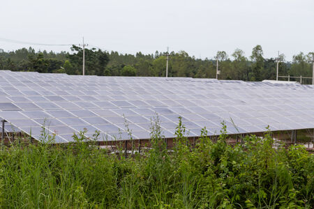 Solar energy panels ,Solar farmの写真素材