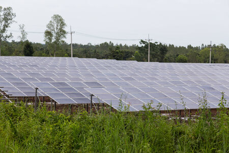 Solar energy panels ,Solar farmの写真素材