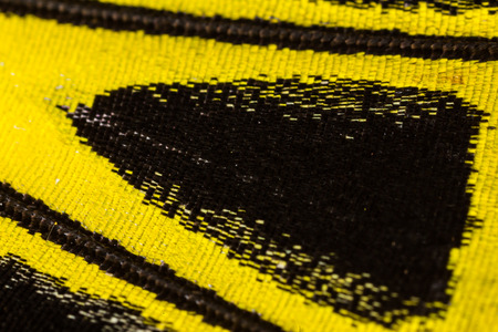 Butterfly wing pattern backgroundの写真素材