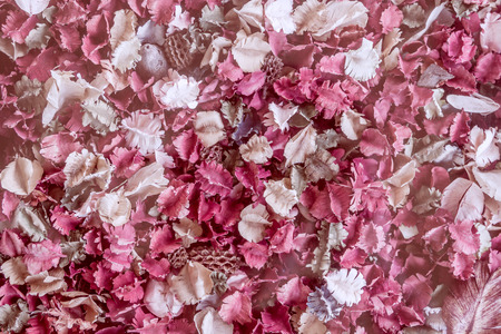 Pink Dried flowers and leaf background, Roseの写真素材