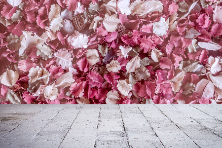 Pink Dried flowers and leaf background, Roseの写真素材