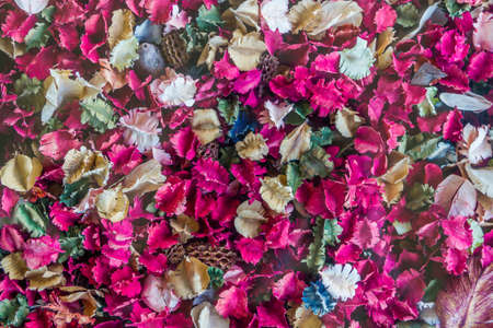 Pink Dried flowers and leaf background, Roseの写真素材