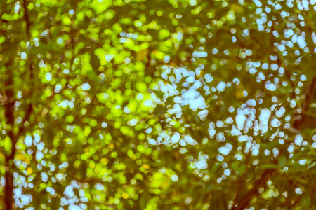 Green and blue  bokeh of tree and sky backgroundの写真素材