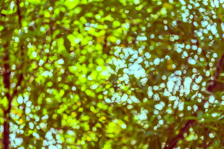 Green and blue  bokeh of tree and sky backgroundの写真素材