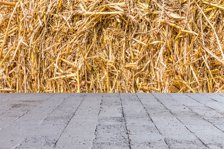 texture of dry straw の写真素材