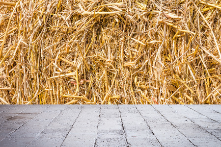 texture of dry straw の写真素材